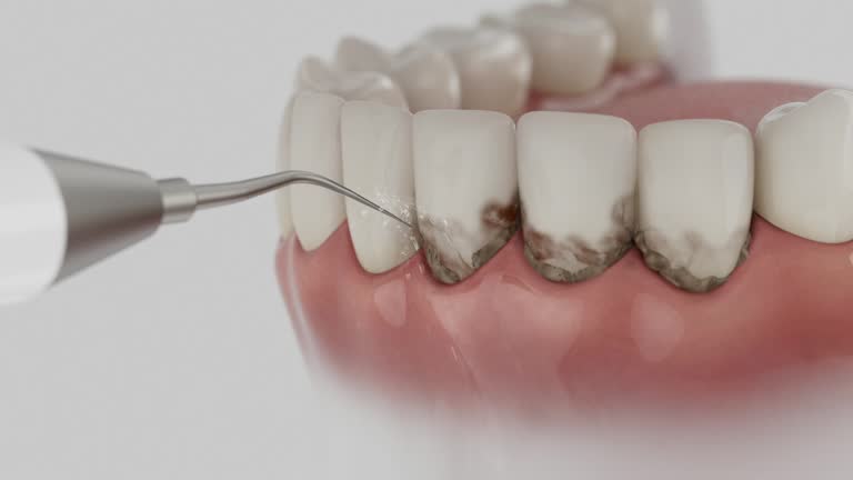 Reliable Dental contractor in Baldwin, LA by Dentist Open Now